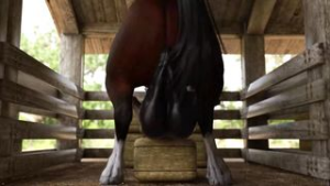 Horse balls deep - ﻿3D animation on Crohasit