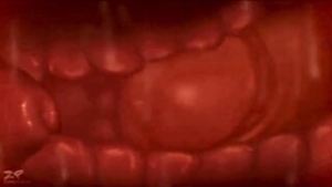 Pussy X-Ray (No Moaning, Flesh Sounds) - 2D animation on Crohasit