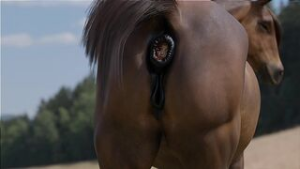 The princess final moment. [Volanare1] - ﻿3D animation on Crohasit