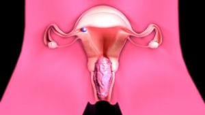 2B births a huge slug - ﻿3D animation on Crohasit