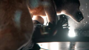 2B x Wolf - ﻿3D animation on Crohasit