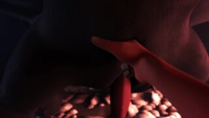 A Dragon Breeding - ﻿3D animation on Crohasit