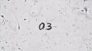 [ATD]ULTPHI 03 WHITE REVIVE - ﻿3D animation on Crohasit