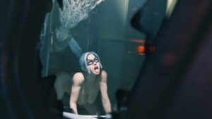 Black Cat & Lizard [Zmsfm] - ﻿3D animation on Crohasit