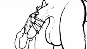 Breeding Penis [qwaxi~lixard] - 2D animation on Crohasit