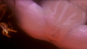 Bug uses pornstar’s pussy – Ryo86 - ﻿3D animation on Crohasit