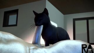 Cat Blowjob – RookieAnimator210 - ﻿3D animation on Crohasit