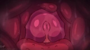 Deepthroat Loop X-Ray (ZonkPunch) - 2D animation on Crohasit