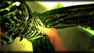 Female Xenomorph stimulation [Keyfeather] - Alien (franchise) animation on Crohasit