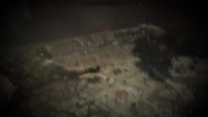 Helen Park Captured - ﻿3D animation on Crohasit