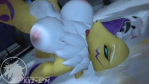 [Kx2-SFM] Krystal and Renamon Part 2 - ﻿3D animation on Crohasit