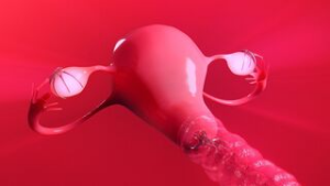 Mercy filled by pussy-hugger – xeno breeding - ﻿3D animation on Crohasit