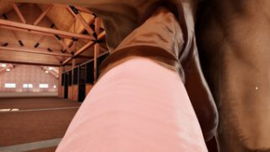 POV Stallion Throat-Fuck | VR Stallion 2.1 Gameplay - ﻿3D animation on Crohasit