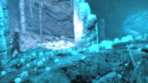 Queen Nualia Fucked by Cave Beast – Noname55 - Fallen Throne animation on Crohasit