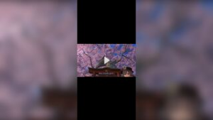 Raidenxhutao - ﻿3D animation on Crohasit