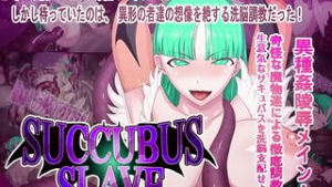 Succubus Slave [numeko] - Dark Stalkers animation on Crohasit