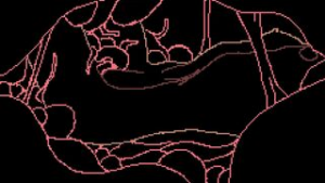 Swallowed In The Swamp (2020) - 2D animation on Crohasit