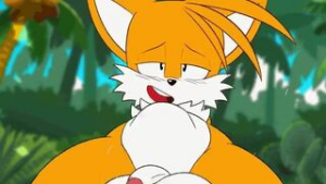 Tails Riding [kingofacesx] - Sonic the Hedgehog animation on Crohasit
