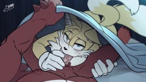 Tails blowjob Knuckles - Sonic the Hedgehog animation on Crohasit