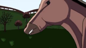 Wednesday and horse - 2D animation on Crohasit
