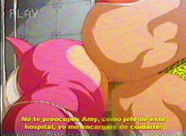 Amy Rose treated at the hospital - Sonic the Hedgehog animation on Crohasit