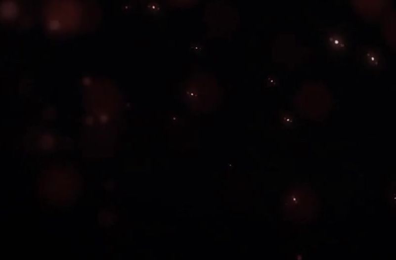 Kunoichi 2 – Beastly Bacchanalia (Bonus Scene) 60fps - ﻿3D animation on Crohasit