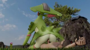ARTIST: BARBONICLES - Pokemon animation on Crohasit