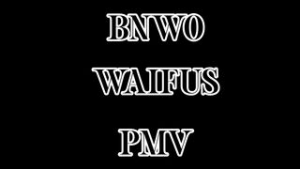 BNWO WAIFUS PMV - Dead or Alive animation on Crohasit