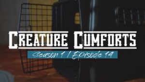 Creature Cumforts – S01E14 - ﻿3D animation on Crohasit