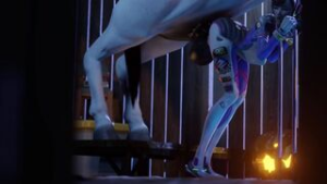 D.va x Horse (The bartender) - ﻿3D animation on Crohasit