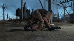 FO4 Dogmeat Compilation - Fallout 4 animation on Crohasit