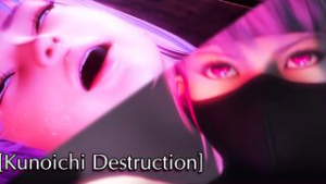 [FOWHMV-001] Kunoichi Destruction - Dead or Alive animation on Crohasit