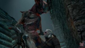 Katakan Contract - The Witcher animation on Crohasit