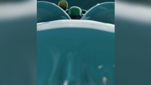 Pov Suu Facesitting - ﻿3D animation on Crohasit