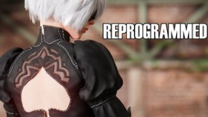 REPROGRAMMED (HMV) - Nier Automata animation on Crohasit