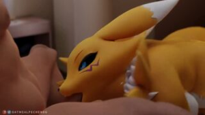 Renamon(And Some Krystal) Porn Compilation - Digimon animation on Crohasit