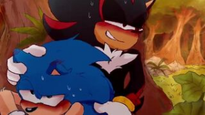 Shadow and Sonic [SavannaDragonn] - Sonic the Hedgehog animation on Crohasit
