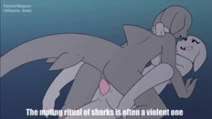 Shark Week – (Sound/4K) [Whygena] - 2D animation on Crohasit