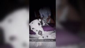 Cheating with the family dog - ﻿3D animation on Crohasit