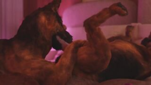 Doggie found the second one - ﻿3D animation on Crohasit