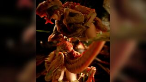 Hormagaunt breeds guardswoman - Warhammer animation on Crohasit
