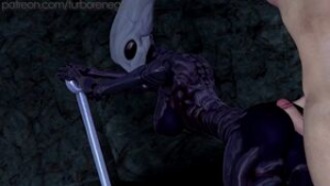 Hornet bug shots full video - Hollow Knight animation on Crohasit