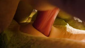 Lizard mating - ﻿3D animation on Crohasit