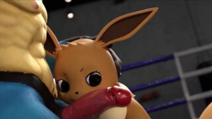 LucarioVSEevee - Pokemon animation on Crohasit