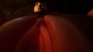 Oral Service for the Wolf Huntress - ﻿3D animation on Crohasit