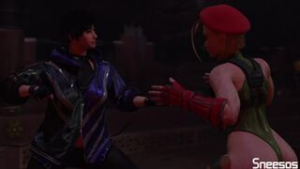 Reina VS Cammy - Street Fighter animation on Crohasit
