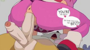 Amy Riding Tails - Sonic the Hedgehog animation on Crohasit