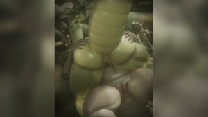 Female Deathclaws in heat - ﻿3D animation on Crohasit