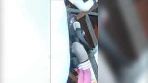 Horse video 116 - ﻿3D animation on Crohasit