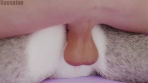 Judy fucked from the back - ﻿3D animation on Crohasit
